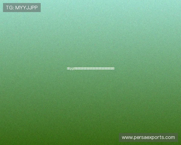 金沙pg电子娱乐打造沉浸式世界杯体验,助力球迷畅享赛事精彩瞬间